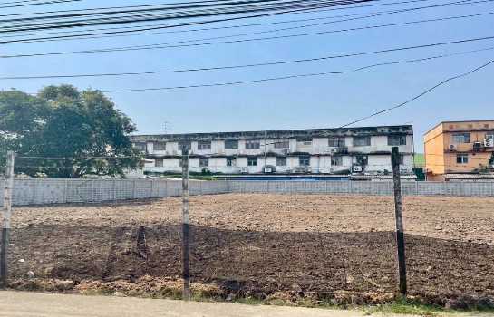 ให้เช่าที่ดินถมแล้ว 367 ตร.ว. ซอยลาซาล 81 ใกล้ตลาดเซฟวันโก บางนา และMRT ศรีลาซาล