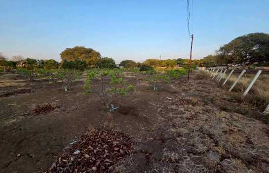 ขายที่ดินปากช่อง 1 ไร่ 2 งาน 0 ตร.ว. ใกล้ถนนมิตรภาพ และโลตัส โกเฟรช กลางดง
