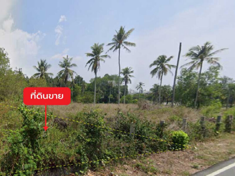 ขายที่ดิน 1 ไร่ 0 งาน 60.2 ตร.ว. ติด ซอยไม้ขาว 7 ใกล้ หาดไม้ขาว