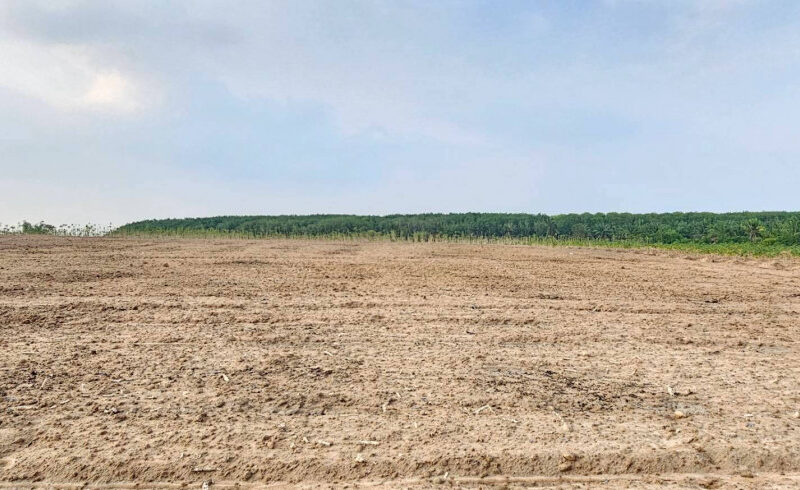 ขายที่ดิน จ.ชลบุรี เนื้อที่ 108-0-14 ไร่ ใกล้นิคมอุตสาหกรรม WHA ESIE 3