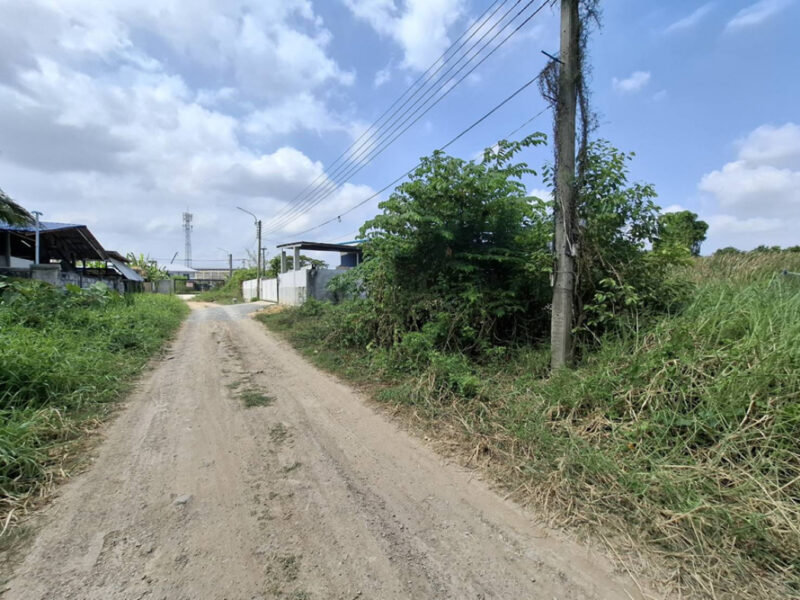 ขาย ที่ดิน ถมแล้ว 120 ตร.วา ม.ธารทอง 2 แยก 10 ซอยวัดลาดปลาดุก หน้ากว้าง 24ม. รูปแปลงสวยเหมาะปลูกบ้านเดี่ยวพื้นที่กว้าง ใกล้รถไฟฟ้า+Westgate