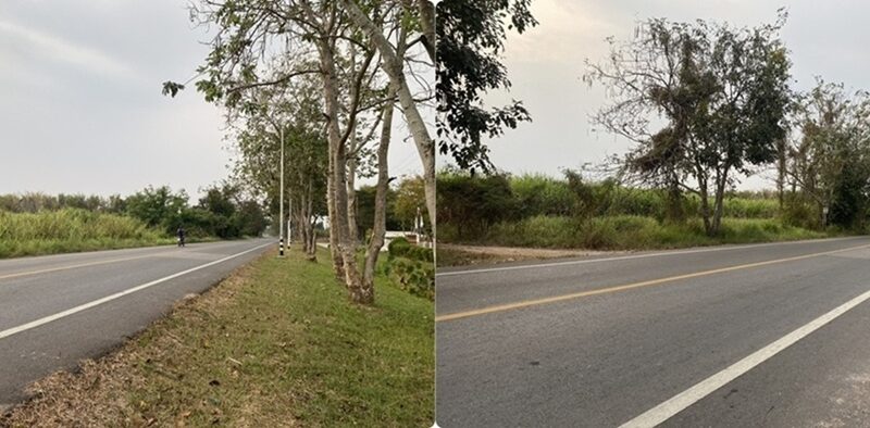 ขายที่ดิน เนื้อที่ 29 ไร่ เกาะจันทร์ จังหวัดชลบุรี