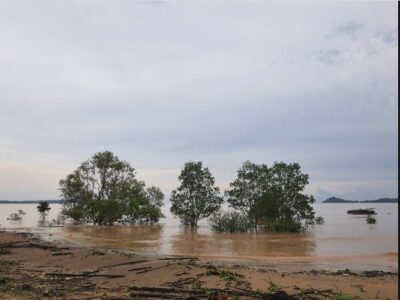 ขายที่ดินเปล่าติดทะเล ต.นาชะอัง อ.เมือง จ.ชุมพร