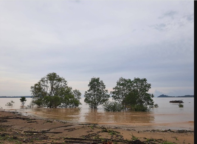 ขายที่ดินเปล่าติดทะเล ต.นาชะอัง อ.เมือง จ.ชุมพร