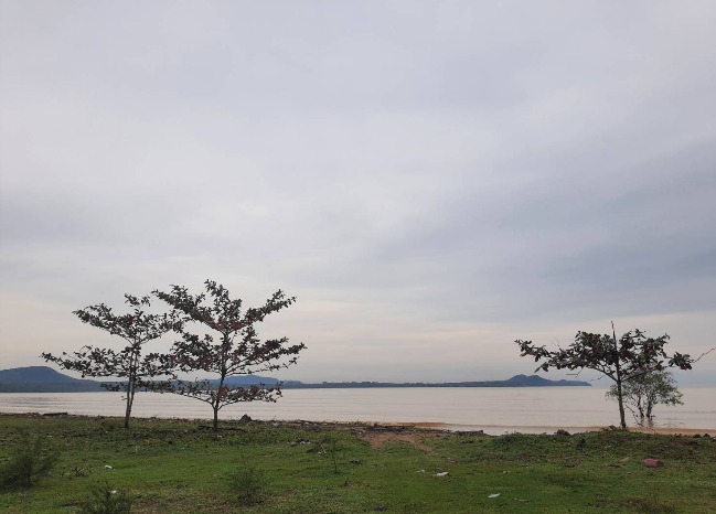 ขายที่ดินเปล่าติดทะเล ต.นาชะอัง อ.เมือง จ.ชุมพร