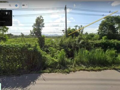 ขายที่ดิน เป็น นส.3 ก รวมพื้นที่ 2 แปลง ตำบลครน อำเภอสวี จังหวัดชุมพร