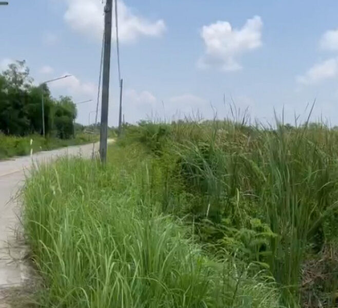 ขายที่ดิน อ.แกลง จ.ระยอง 9 ไร่ 2 งาน 62 ตร.ว. ซอยหัวเสม็ด ใกล้ชายหาดทุ่งคา