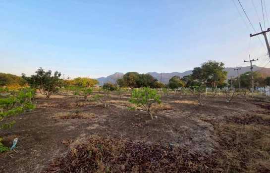 ขายที่ดินปากช่อง 1 ไร่ 2 งาน 0 ตร.ว. ใกล้ถนนมิตรภาพ และโลตัส โกเฟรช กลางดง