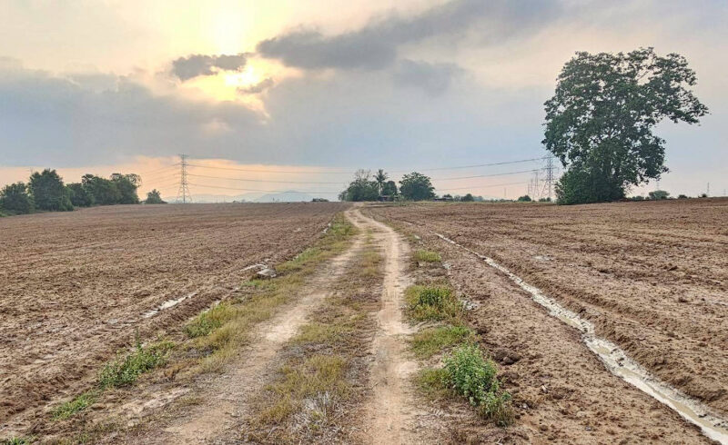 ขายที่ดิน จ.ชลบุรี เนื้อที่ 108-0-14 ไร่ ใกล้นิคมอุตสาหกรรม WHA ESIE 3