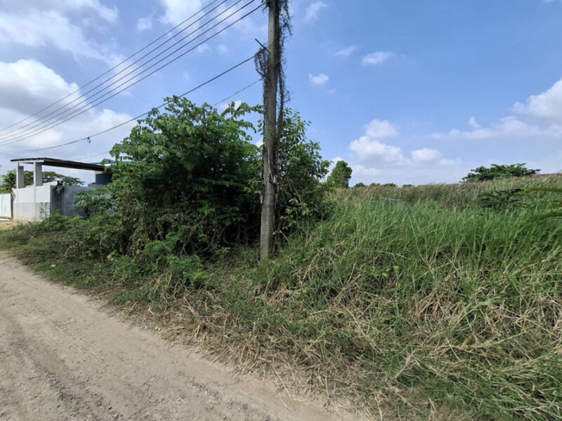 ขาย ที่ดิน ถมแล้ว 120 ตร.วา ม.ธารทอง 2 แยก 10 ซอยวัดลาดปลาดุก หน้ากว้าง 24ม. รูปแปลงสวยเหมาะปลูกบ้านเดี่ยวพื้นที่กว้าง ใกล้รถไฟฟ้า+Westgate