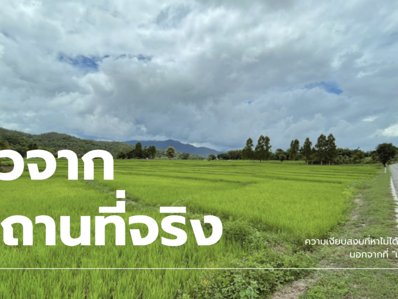 ขายที่ดิน 5 แปลงสุดท้ายจากทั้งหมด 8 แปลง! วิวเขา @เมืองปาน จ.ลำปาง - ผ่อนตรงกับเจ้าของได้ 🏔️🌲