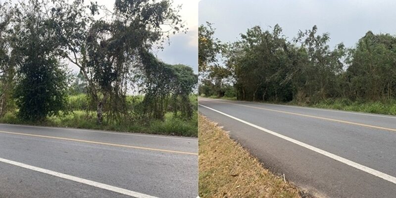 ขายที่ดิน เนื้อที่ 29 ไร่ เกาะจันทร์ จังหวัดชลบุรี