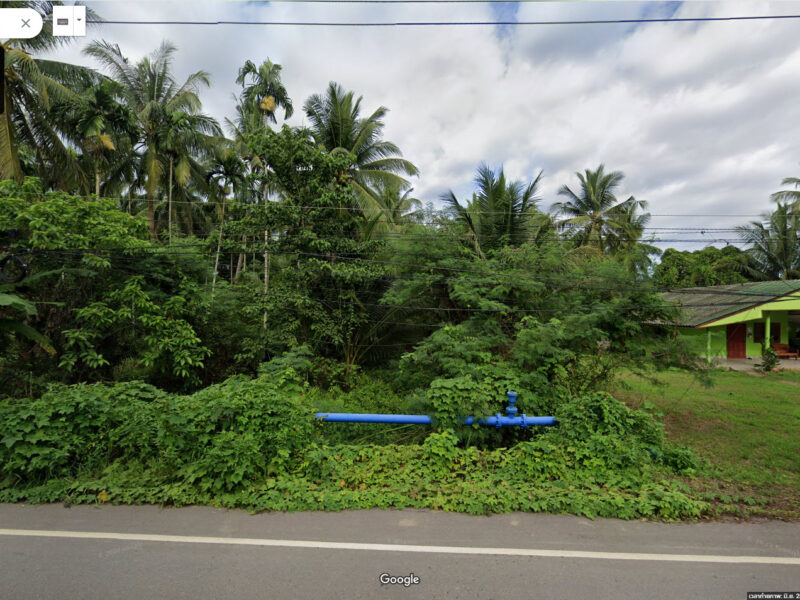 ขายที่ดินพร้อมสิ่งปลูกสร้าง ต.ตากแดด อ.เมืองชุมพร จ.ชุมพร