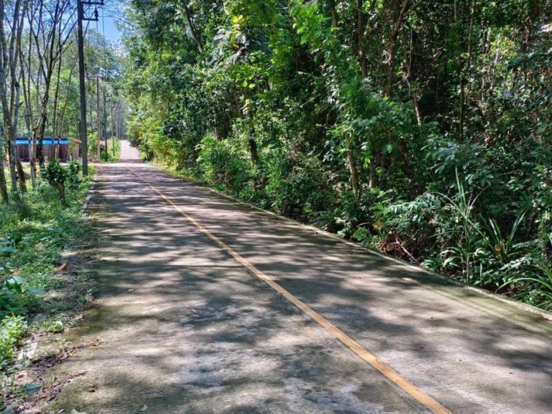 ขายที่ดิน โฉนด พังงา ราคาพร้อมเจรจา เหมาะสำหรับพัฒนาเป็น บ้านพักอาศัย, บังกะโล, วิลล่า หรือรีสอร์ท มีไฟฟ้าผ่านที่ดินBeautiful island for sale 6 Rais with Chanote