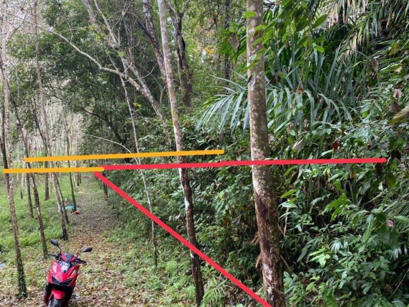 ขายที่ดินและสวนยาง เกาะยาวน้อย พังงา 6 ไร่ ราคาถูกพิเศษมาก