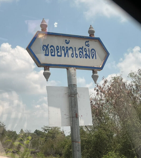 ขายที่ดิน อ.แกลง จ.ระยอง 9 ไร่ 2 งาน 62 ตร.ว. ซอยหัวเสม็ด ใกล้ชายหาดทุ่งคา