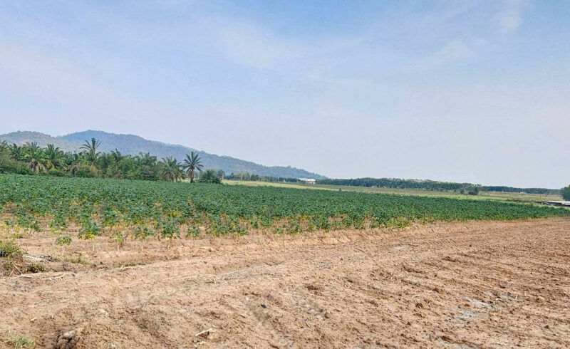 ขายที่ดิน จ.ชลบุรี เนื้อที่ 108-0-14 ไร่ ใกล้นิคมอุตสาหกรรม WHA ESIE 3