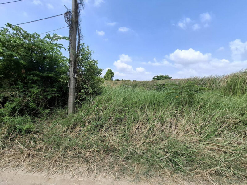 ขาย ที่ดิน ถมแล้ว 120 ตร.วา ม.ธารทอง 2 แยก 10 ซอยวัดลาดปลาดุก หน้ากว้าง 24ม. รูปแปลงสวยเหมาะปลูกบ้านเดี่ยวพื้นที่กว้าง ใกล้รถไฟฟ้า+Westgate