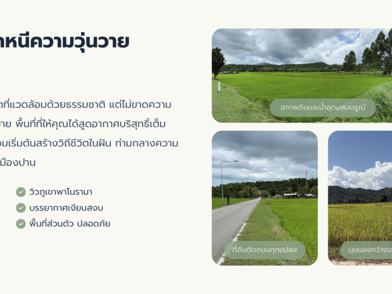 ขายที่ดิน 5 แปลงสุดท้ายจากทั้งหมด 8 แปลง! วิวเขา @เมืองปาน จ.ลำปาง - ผ่อนตรงกับเจ้าของได้ 🏔️🌲