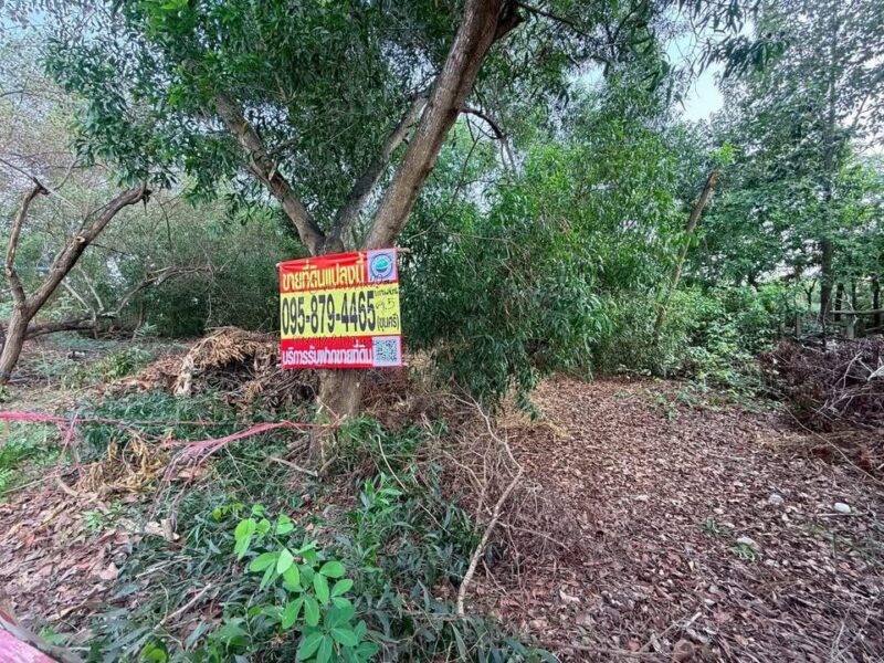 ขายที่ดิน 70 ตรว ติดถนนสาธารณะ ถมแล้ว หมู่บ้านสวนรีสอร์ท คลองห้าตะวันตก จ.ปทุมธานี