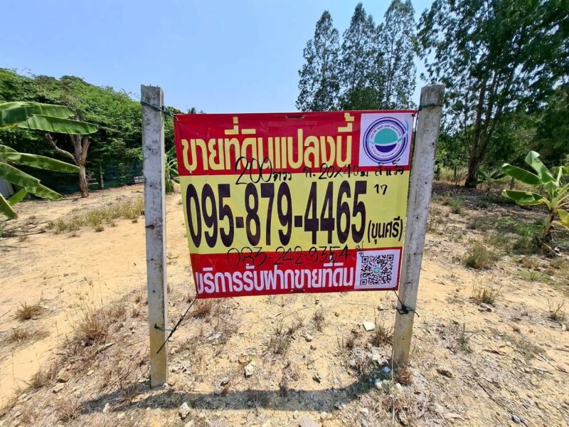 ขายด่วนที่ดิน 198 ตรว ติดถนนลาดยาง ซอย.สส.สำเร็จ17ต.บ้านไหม่ อ.บางใหญ่ จ.นนทบุรี