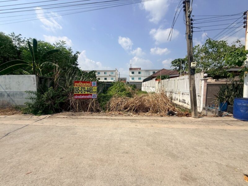 ขายด่วนที่ดิน 83 ตรว ติดถนนสาธารณะ ซ.เมตตา ต.บึงคำพร้อย อ.ลำลูกกา ปทุมธานี