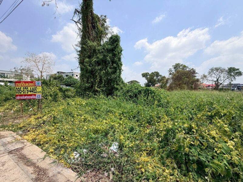 ขายที่ดินใกล้รถไฟฟ้า 309 ตรว ติดถนนสาธารณะ ซ.พิเศษ 5 ต.คูคต อ.ลำลูกกา จ.ปทุมธานี