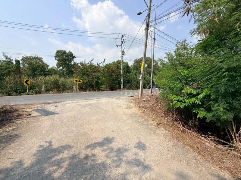 ขายด่วนที่ดิน 846 ตรว ติดถนนสาธารณะ ซ.ประทานพร สามโคก ปทุมธานี