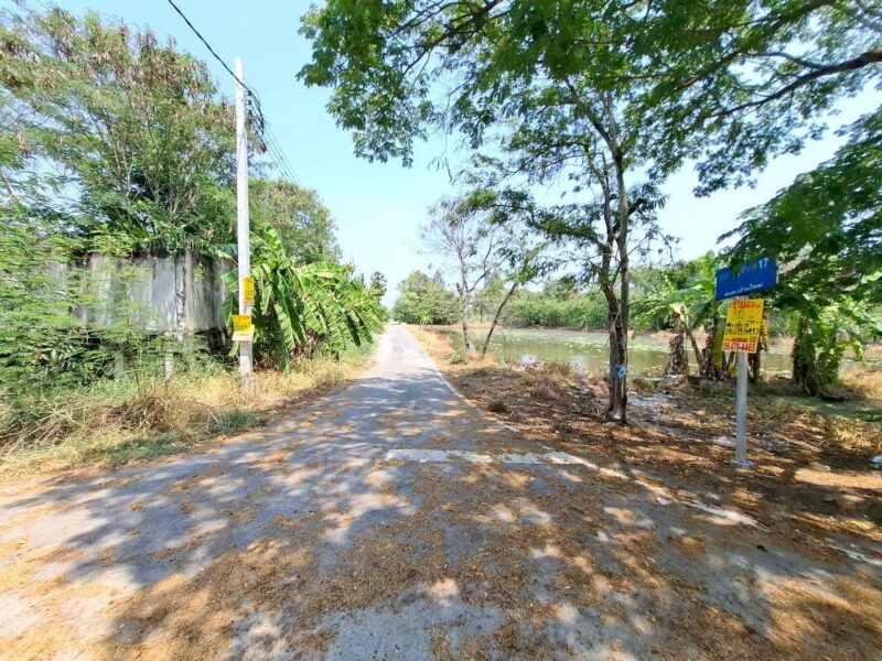 ขายด่วนที่ดิน 198 ตรว ติดถนนลาดยาง ซอย.สส.สำเร็จ17ต.บ้านไหม่ อ.บางใหญ่ จ.นนทบุรี