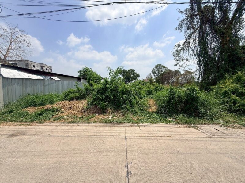 ขายที่ดินใกล้รถไฟฟ้า 309 ตรว ติดถนนสาธารณะ ซ.พิเศษ 5 ต.คูคต อ.ลำลูกกา จ.ปทุมธานี