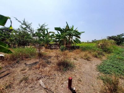 ขายด่วนที่ดินตรงข้ามองค์การบริหารตำบลบ่อเงิน 40 ตรว ติดถนนสาธารณะ ถมแล้ว ต.บ่อเงิน อ.ลาดหลุมแก้ว จ.ปทุมธานี