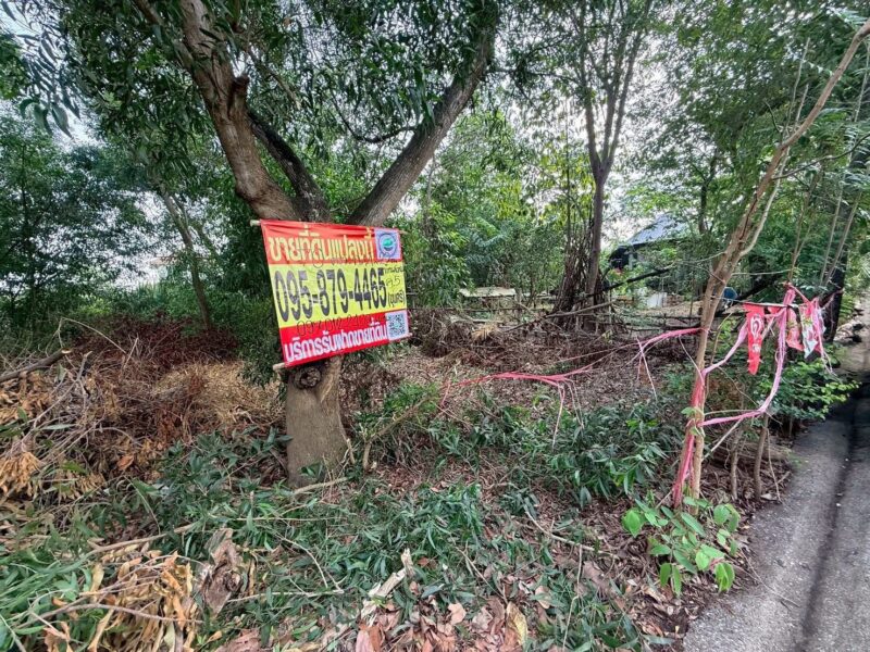 ขายที่ดิน 70 ตรว ติดถนนสาธารณะ ถมแล้ว หมู่บ้านสวนรีสอร์ท คลองห้าตะวันตก จ.ปทุมธานี