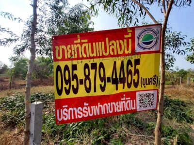 ขายถูกที่ดิน 400 ตรว ติดถนนสาธารณะ ใกล้ซอยอยู่รวยแลนด์ หนองสามวัง หนองเสือ