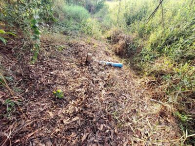 ขายด่วนที่ดิน 99 ตรว ติดถนนสาธารณะ ซอย คลองหก ตต.13 ต.คลองหก ปทุมธานี