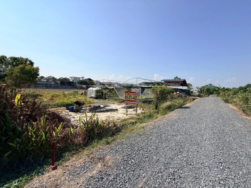 ขายด่วนที่ดิน 153 ตรว ติดถนนหินคลุก ซ.วัดหนองปรง ต.บางเดื่อ อ.เมืองปทุมธานี