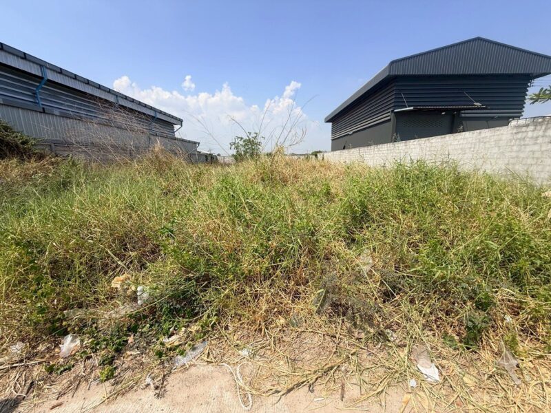 ขายด่วนที่ดิน 180 ตรว ติดถนนสาธารณะ ถมแล้ว ซอยเปาร์อิน 16 อ.ลาดหลุมแก้ว จ.ปทุมธานี