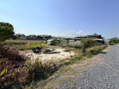 ขายด่วนที่ดิน 153 ตรว ติดถนนหินคลุก ซ.วัดหนองปรง ต.บางเดื่อ อ.เมืองปทุมธานี