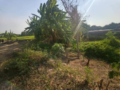 ขายด่วนที่ดิน 400 ตรว ติดถนนคอนกรีต แสนกาญจนา 4 อ.บางใหญ่ จ.นนทบุรี