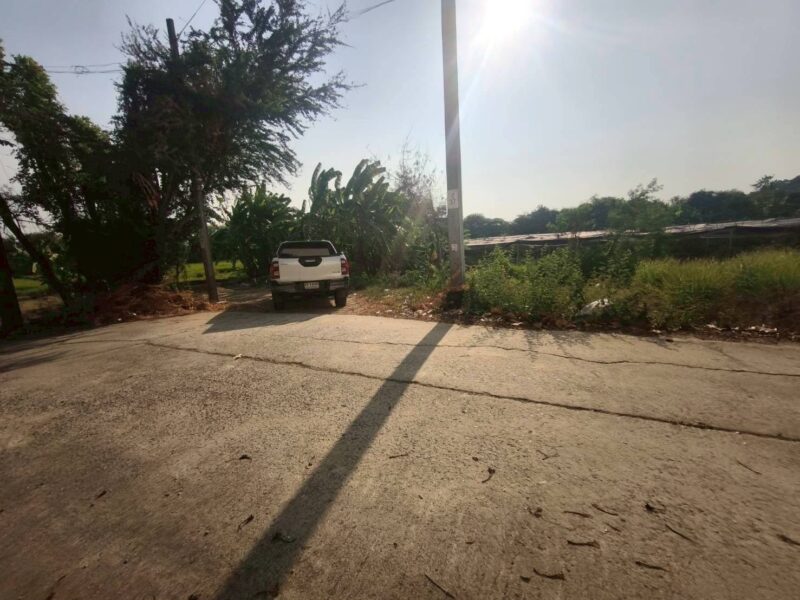 ขายด่วนที่ดิน 400 ตรว ติดถนนคอนกรีต แสนกาญจนา 4 อ.บางใหญ่ จ.นนทบุรี