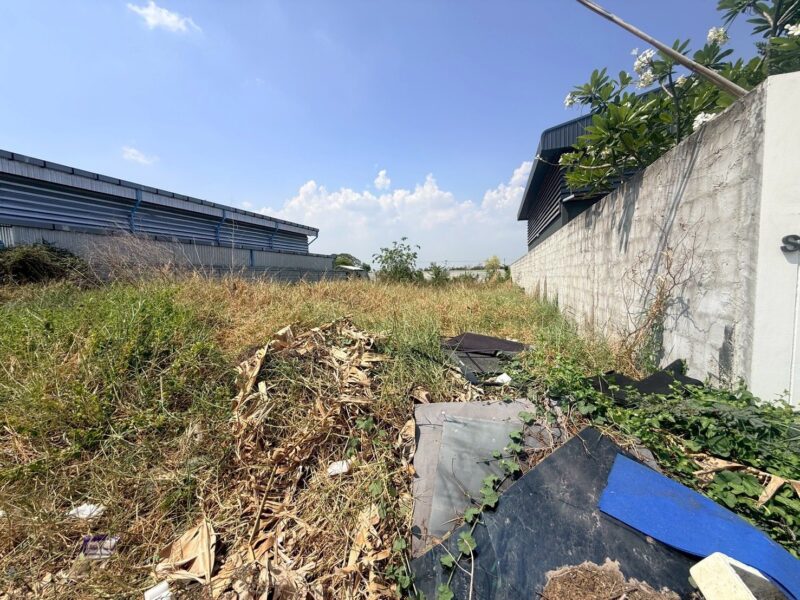 ขายด่วนที่ดิน 180 ตรว ติดถนนสาธารณะ ถมแล้ว ซอยเปาร์อิน 16 อ.ลาดหลุมแก้ว จ.ปทุมธานี