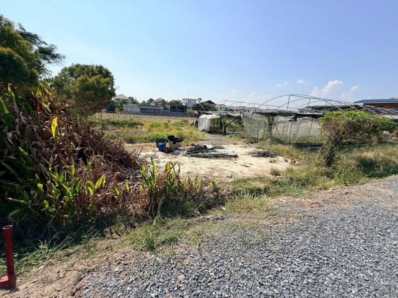 ขายด่วนที่ดิน 153 ตรว ติดถนนหินคลุก ซ.วัดหนองปรง ต.บางเดื่อ อ.เมืองปทุมธานี