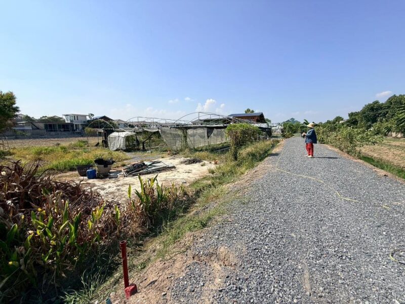 ขายด่วนที่ดิน 153 ตรว ติดถนนหินคลุก ซ.วัดหนองปรง ต.บางเดื่อ อ.เมืองปทุมธานี