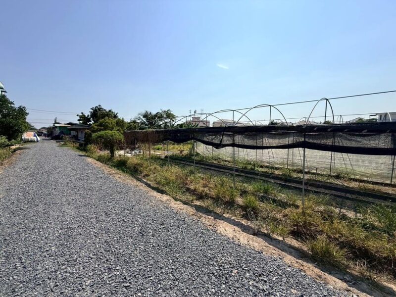 ขายด่วนที่ดิน 153 ตรว ติดถนนหินคลุก ซ.วัดหนองปรง ต.บางเดื่อ อ.เมืองปทุมธานี