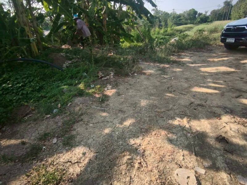 ขายด่วนที่ดิน 400 ตรว ติดถนนคอนกรีต แสนกาญจนา 4 อ.บางใหญ่ จ.นนทบุรี