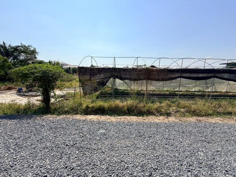 ขายด่วนที่ดิน 153 ตรว ติดถนนหินคลุก ซ.วัดหนองปรง ต.บางเดื่อ อ.เมืองปทุมธานี