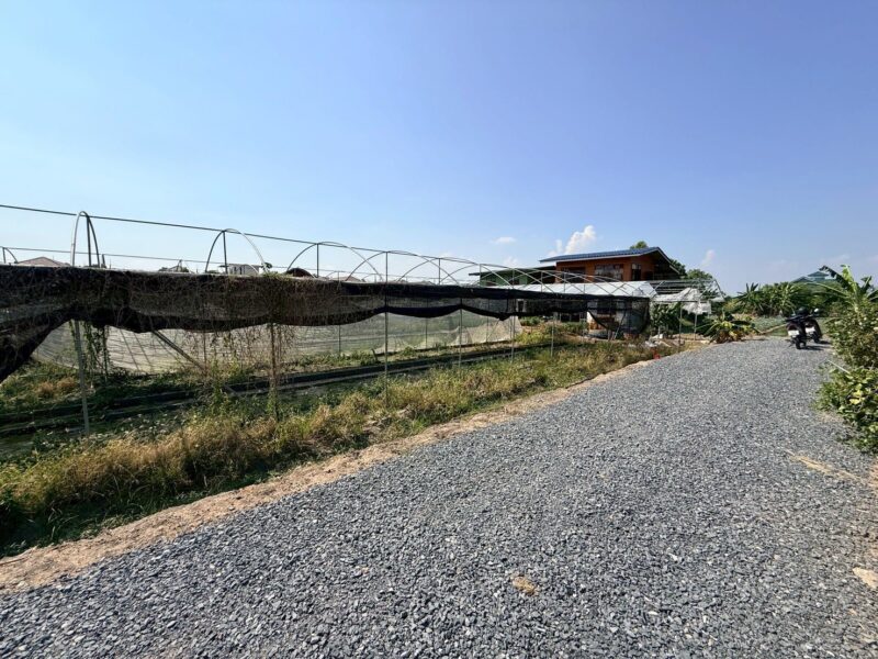 ขายด่วนที่ดิน 153 ตรว ติดถนนหินคลุก ซ.วัดหนองปรง ต.บางเดื่อ อ.เมืองปทุมธานี