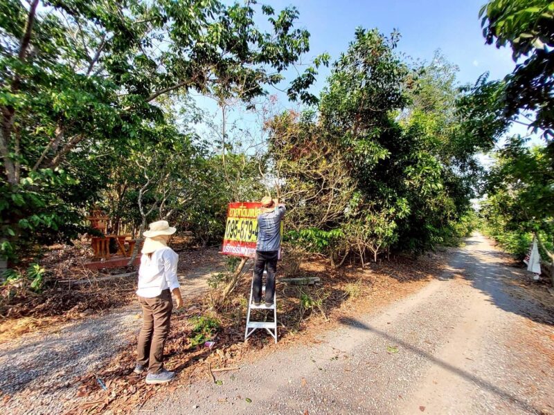 ขายด่วนที่ดิน 9-1-41 ไร่ ติดถนนสาธารณะ คลอง 11 ตอ. ซอย สมนึก อ.หนองเสือ จ.ปทุมธานี