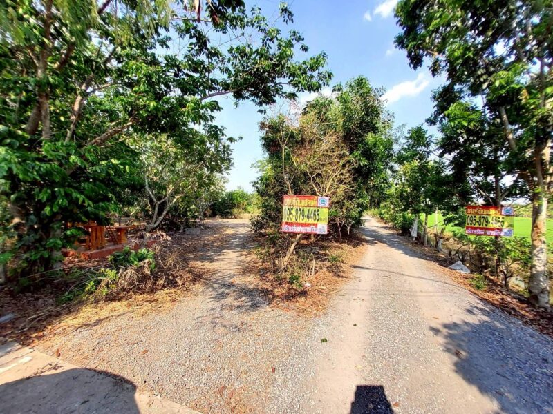 ขายด่วนที่ดิน 9-1-41 ไร่ ติดถนนสาธารณะ คลอง 11 ตอ. ซอย สมนึก อ.หนองเสือ จ.ปทุมธานี