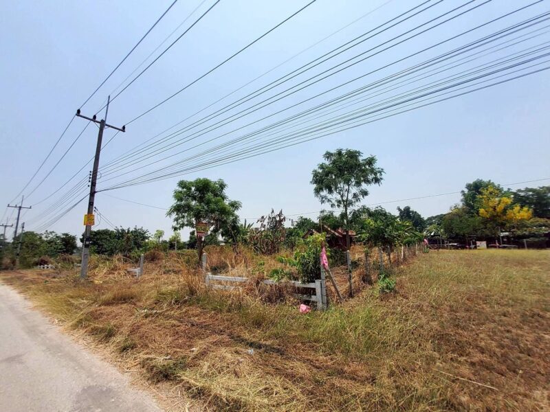 ขายที่ดินใกล้วัดหนองตาเนิด 200 ตรว ติดถนนลาดยางสาธารณะ ต.ปากช่อง อ.จอมบึง จ.ราชบุรี