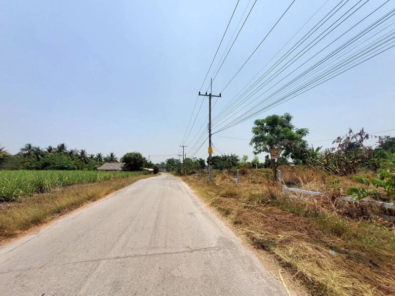 ขายที่ดินใกล้วัดหนองตาเนิด 200 ตรว ติดถนนลาดยางสาธารณะ ต.ปากช่อง อ.จอมบึง จ.ราชบุรี